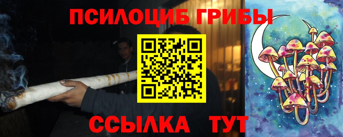 Галлюциногенные грибы Magic Shrooms  Вход с VPN  Псилоцибиновые грибы прущие грибы  Сокол 